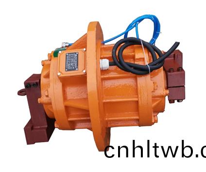 VBL係(xi)列立(li)式(shi)振動(dong)電(dian)機